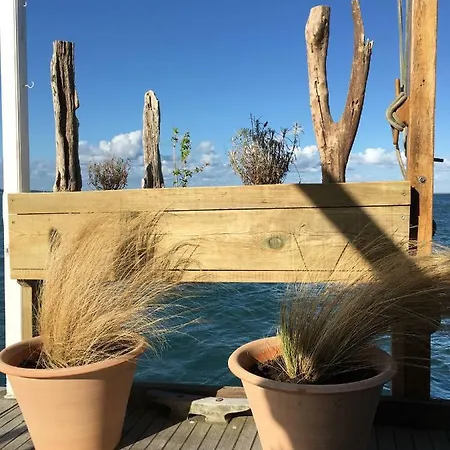 La Flottante Du Ferret *